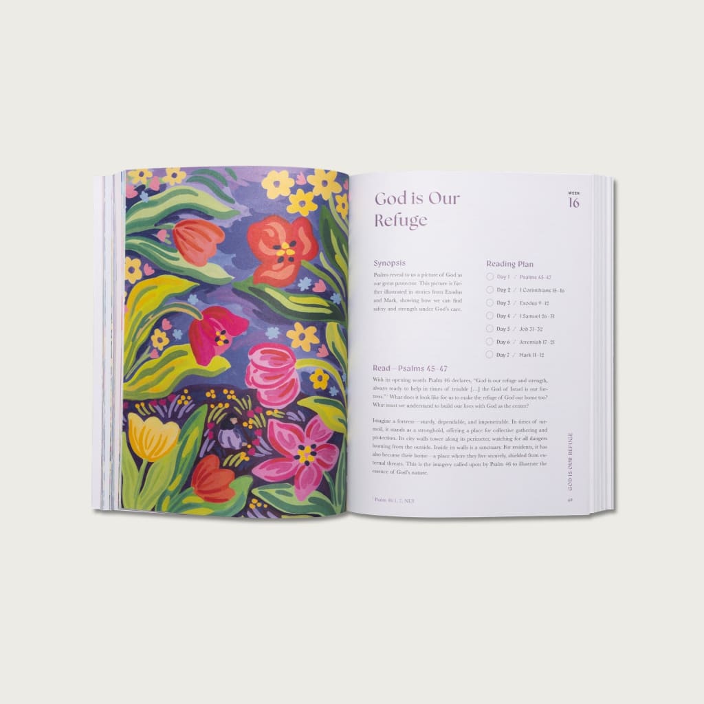 A Beautiful Year in the Word: The 52-Week Bible Study for Women
