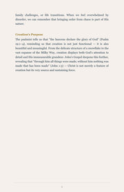 She Is Free : The Bible in 52 Weeks